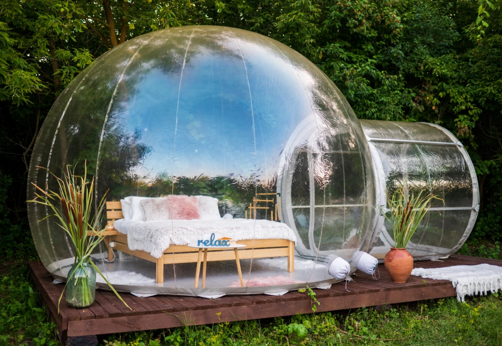 where to buy transparent bubble tent